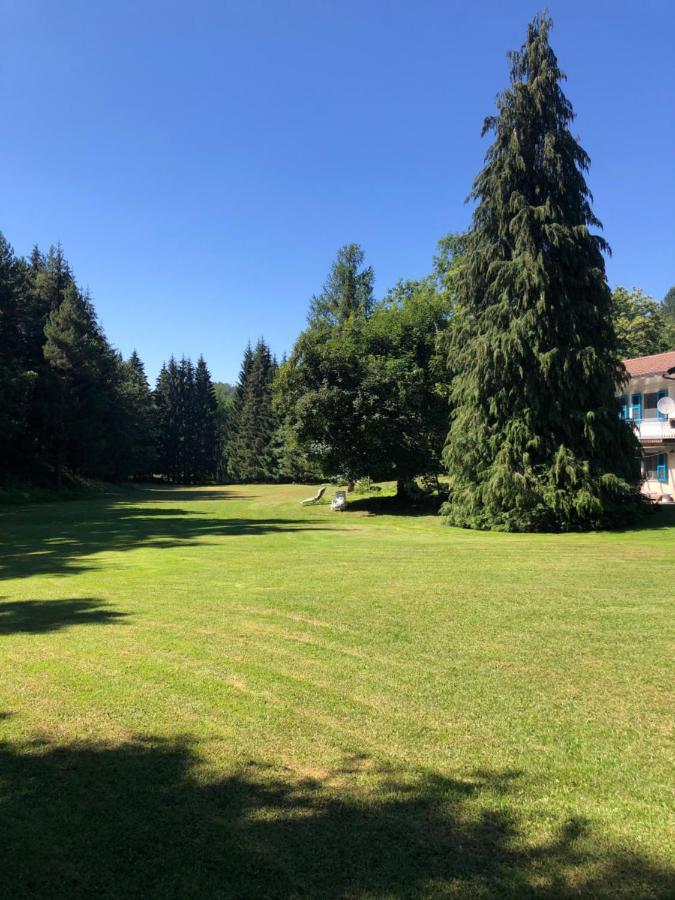 Agriturismo La Casa Nel Bosco Boveglio Exteriör bild