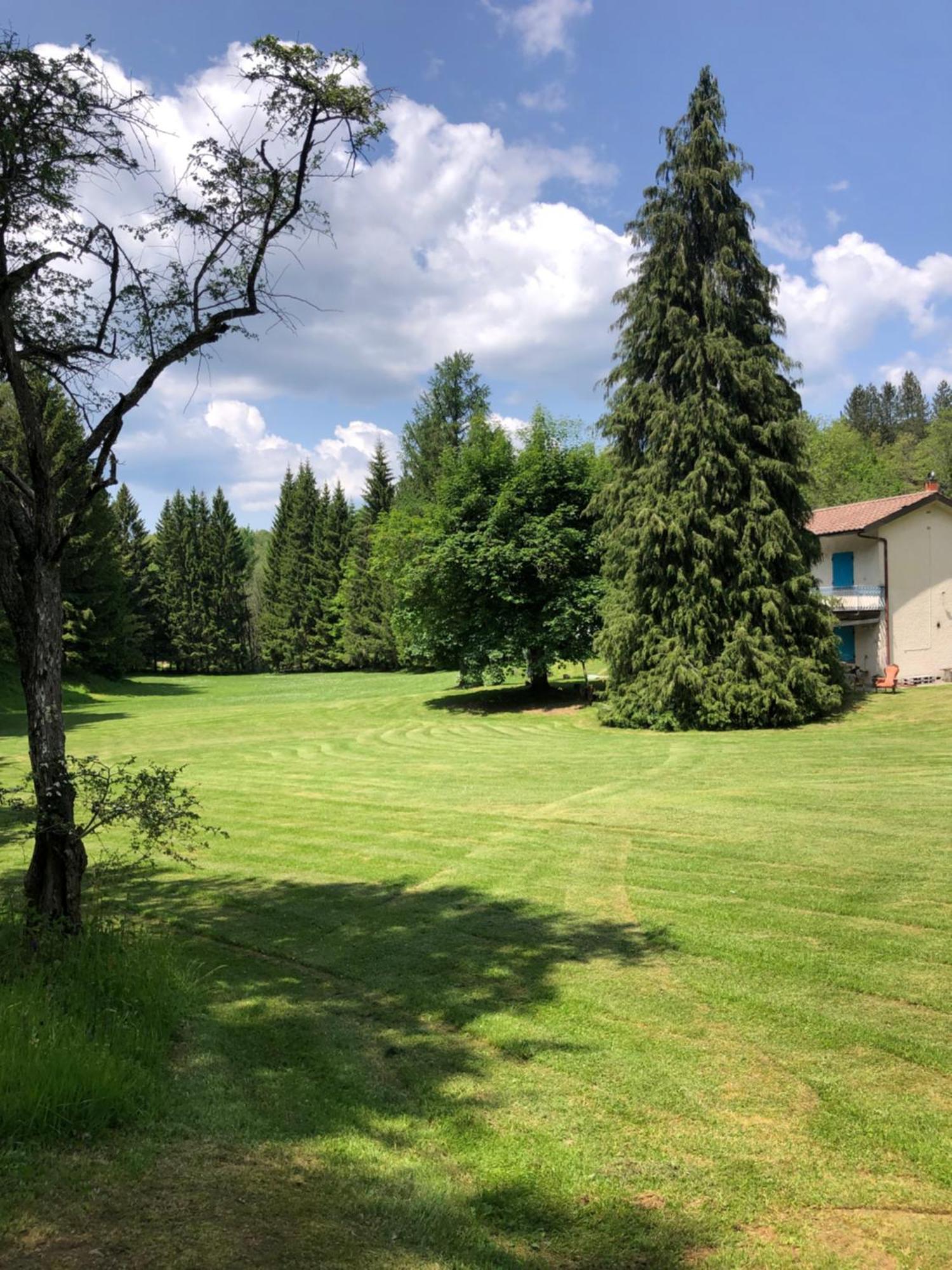 Agriturismo La Casa Nel Bosco Boveglio Exteriör bild
