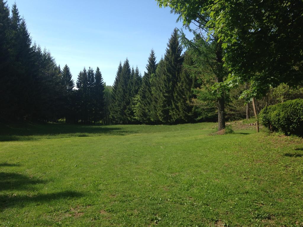 Agriturismo La Casa Nel Bosco Boveglio Exteriör bild