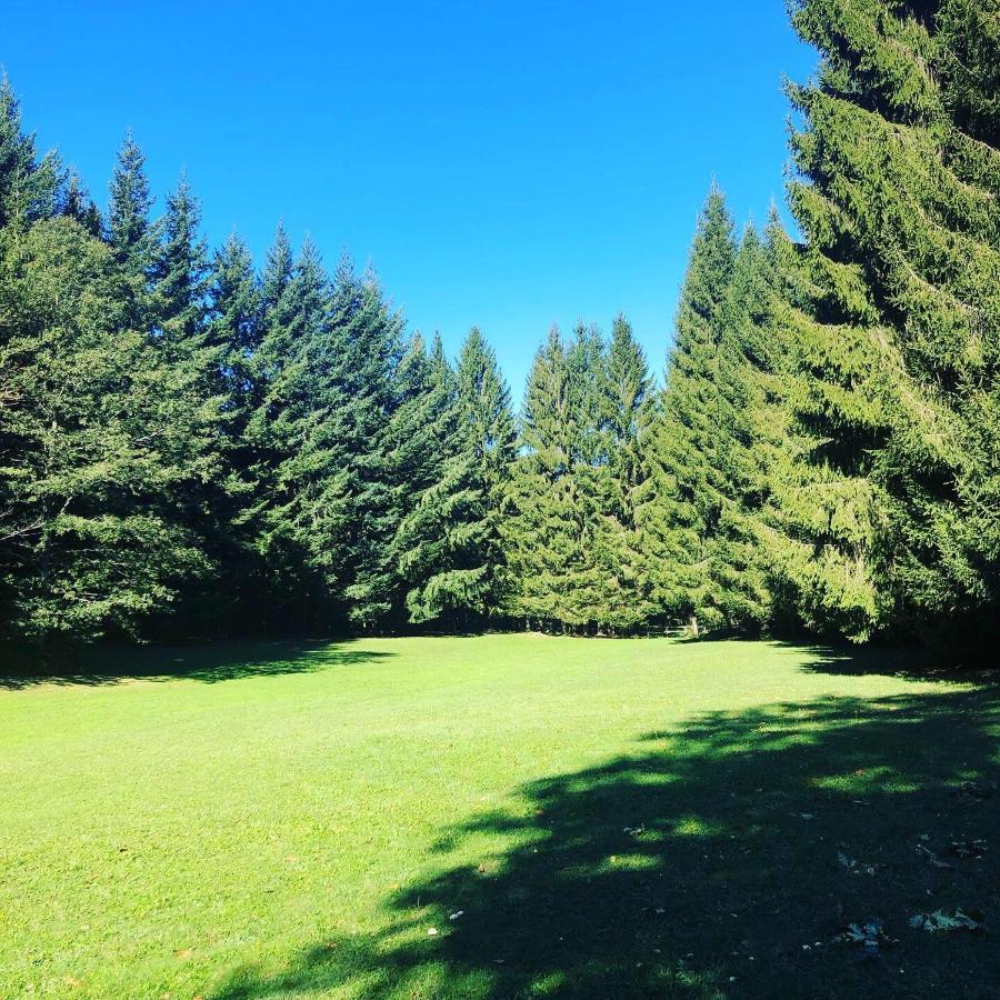 Agriturismo La Casa Nel Bosco Boveglio Exteriör bild